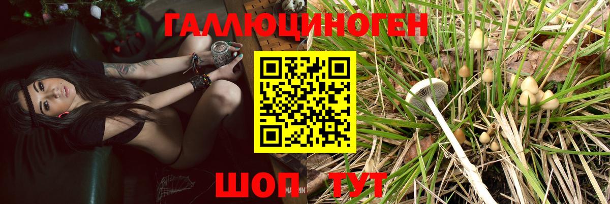 цена   Вход с VPN  Галлюциногенные грибы ЛСД  Гагарин  Псилоцибиновые грибы мухоморы 
